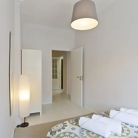 Spacious Flat Downtown 公寓 *