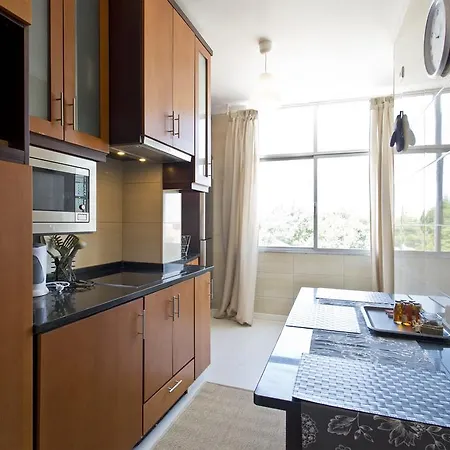 Spacious Flat Downtown 公寓