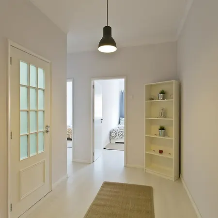 Spacious Flat Downtown