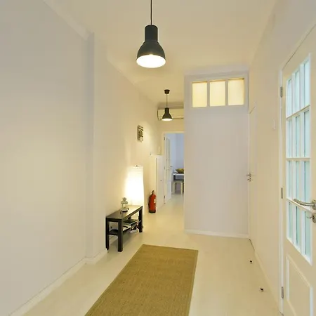 Spacious Flat Downtown Apartment